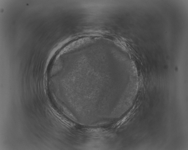 X0000062630342200601111105