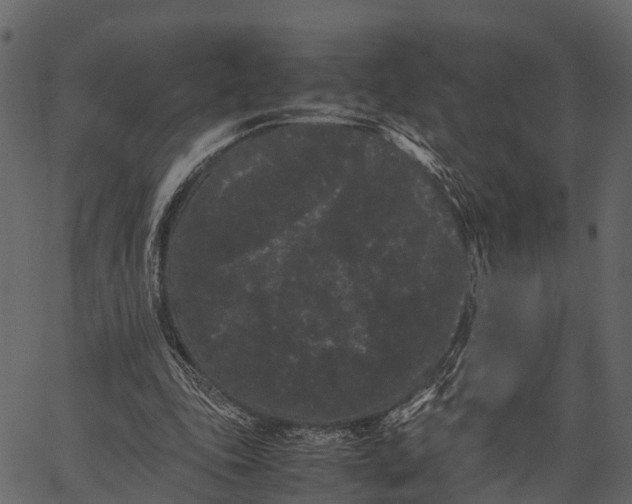 X0000062630343200601111105