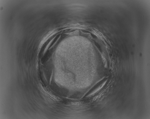 X0000062630344200601111106