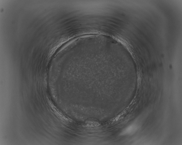 X0000062630345200601111106