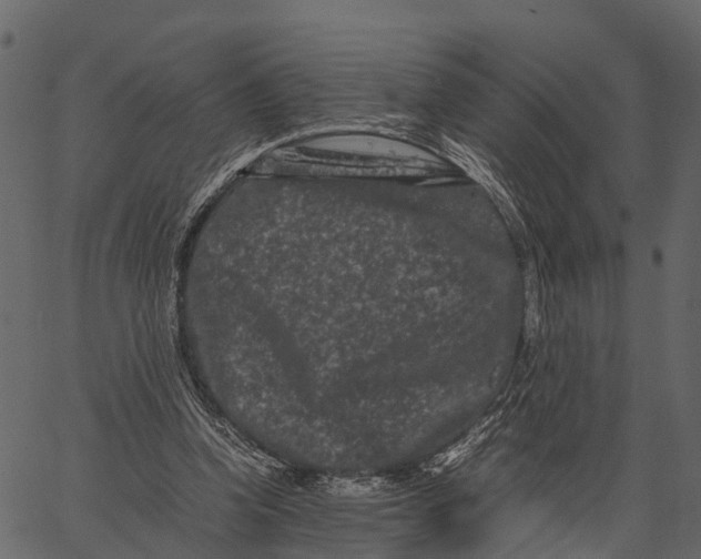 X0000062630346200601111106