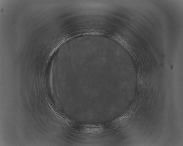 X0000062630347200601111106