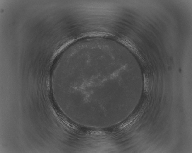 X0000062630348200601111106