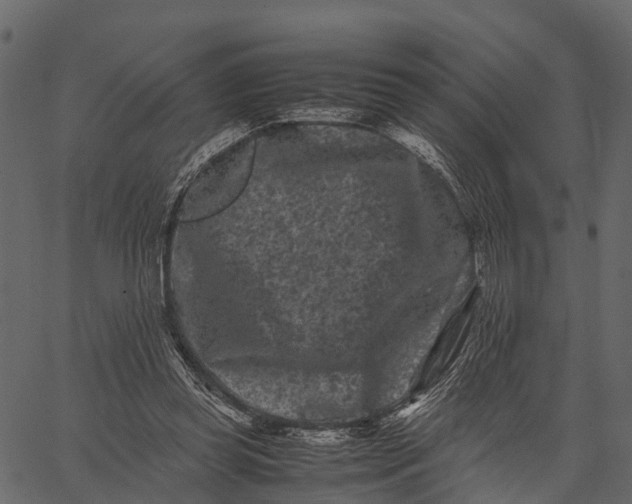 X0000062630349200601111106