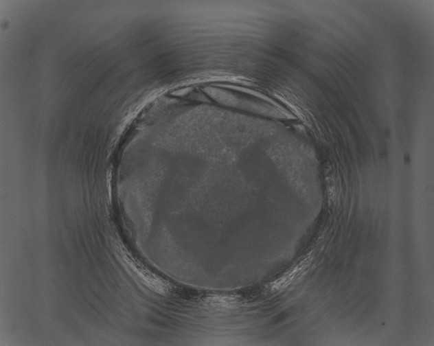 X0000062630350200601111106