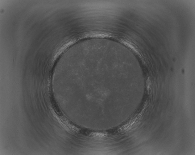 X0000062630352200601111106