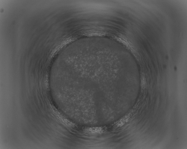 X0000062630353200601111106