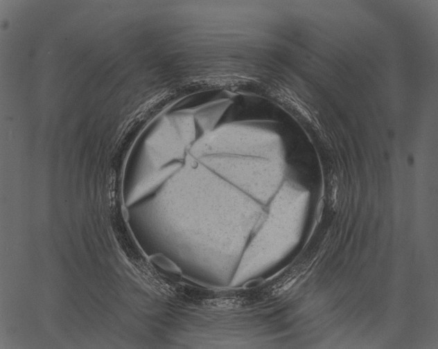 X0000062630356200601111106