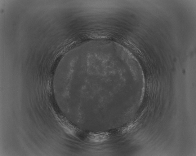 X0000062630359200601111106