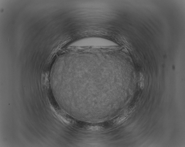 X0000062630360200601111106