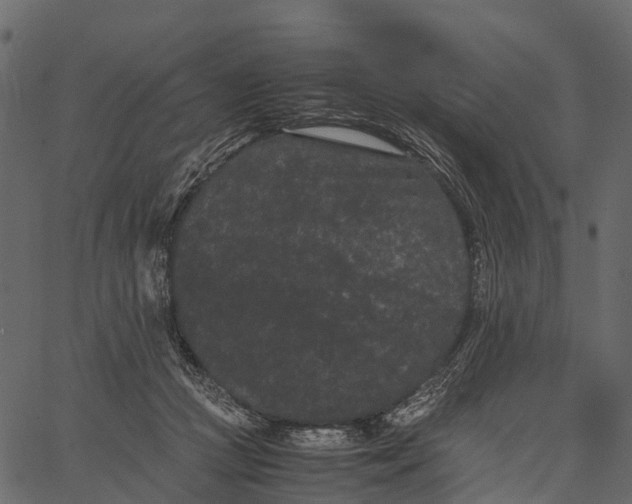 X0000062630361200601111106