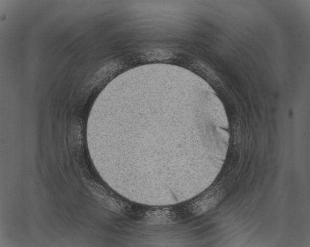 X0000062630362200601111106