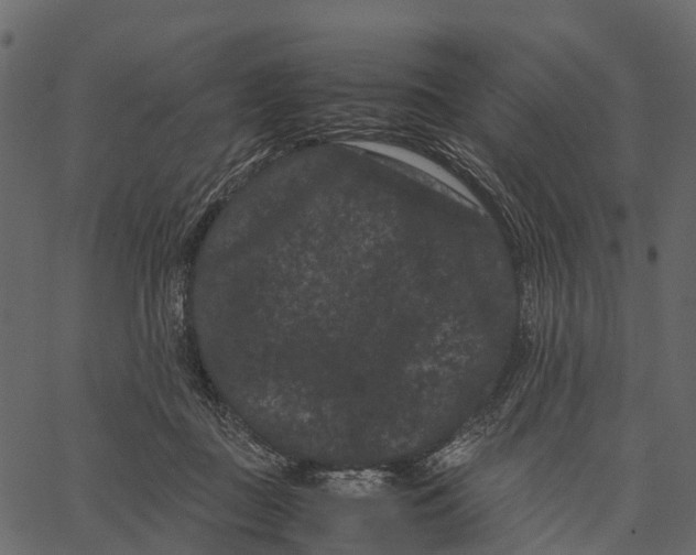 X0000062630363200601111106