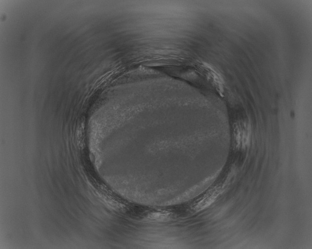 X0000062630364200601111106