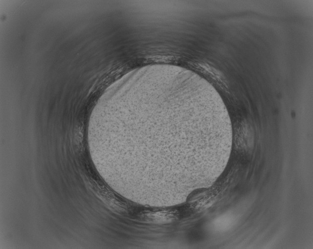 X0000062630365200601111106