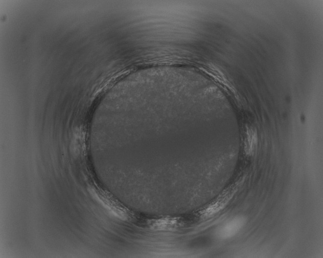 X0000062630366200601111106