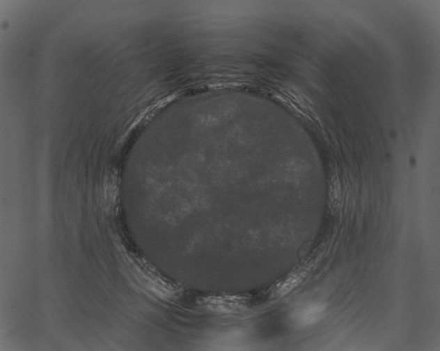 X0000062630367200601111106