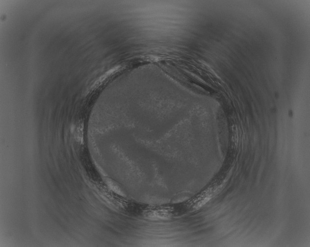 X0000062630368200601111106