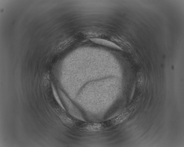 X0000062630369200601111106