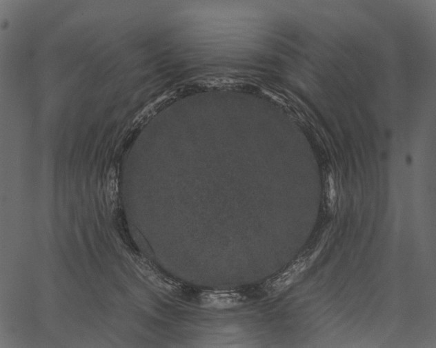 X0000062630372200601111106