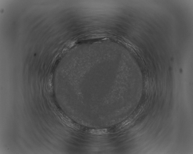 X0000062630373200601111106