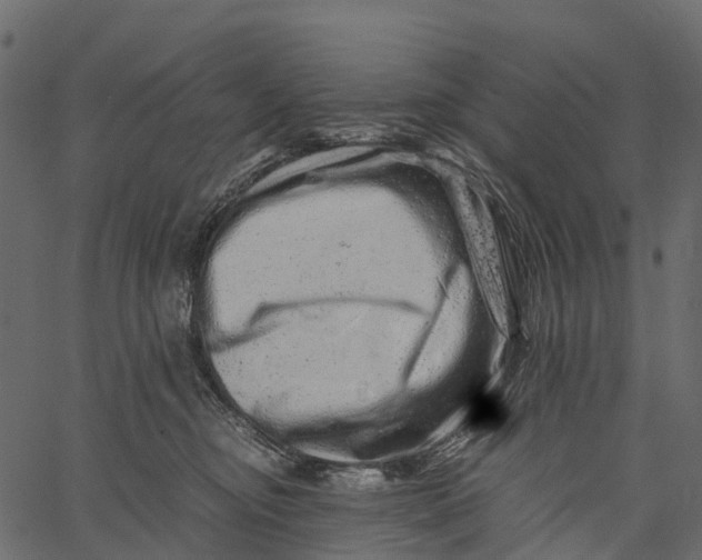 X0000062630374200601111106