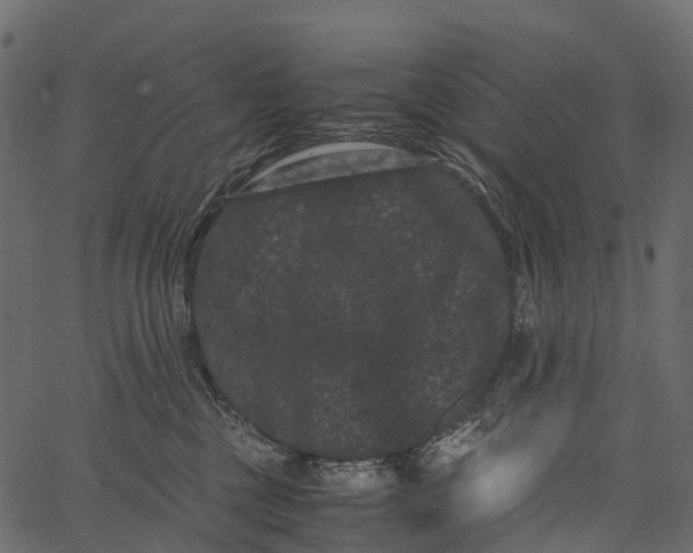 X0000062630377200601111106