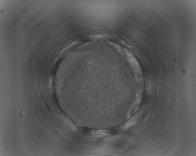 X0000062630378200601111106