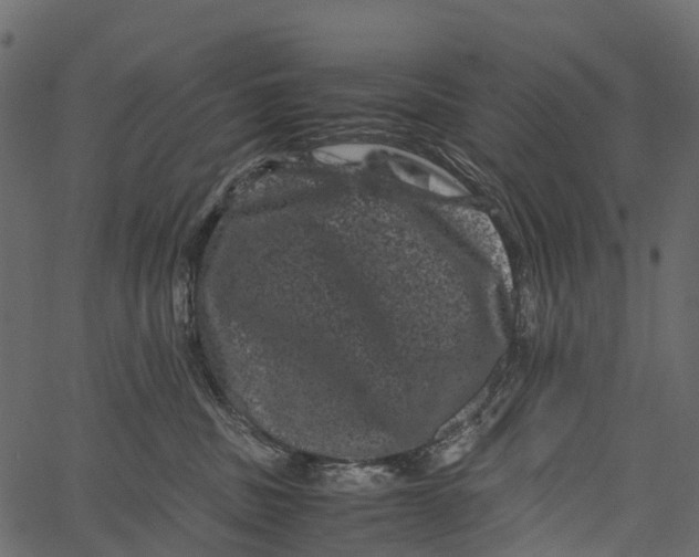 X0000062630379200601111106