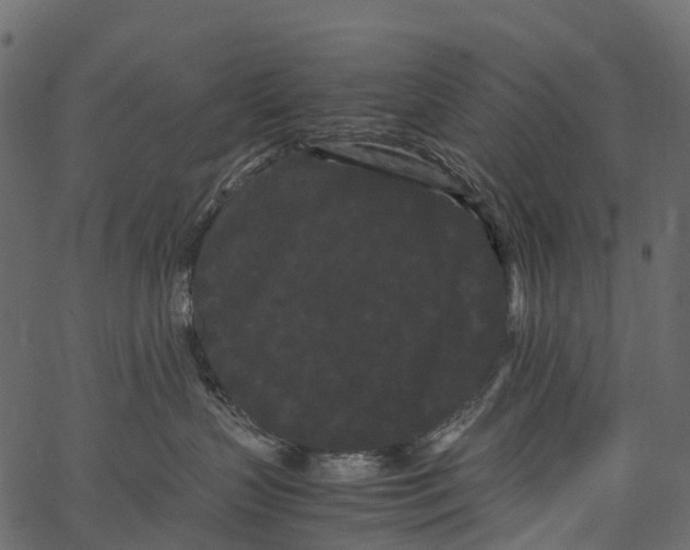 X0000062630383200601111106