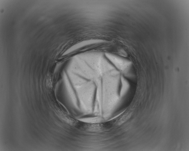 X0000062630384200601111106