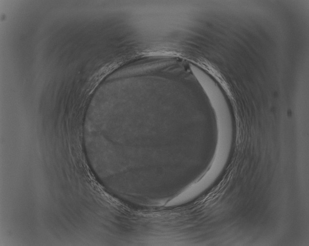 X0000062630385200601111105