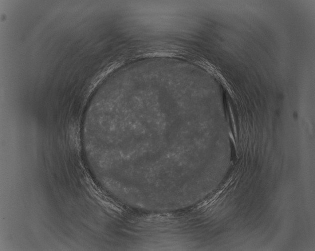 X0000062630386200601111105