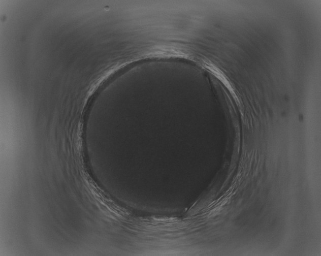 X0000062630387200601111105