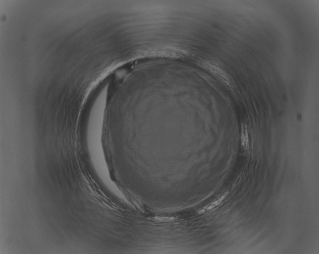 X0000062630388200601111105