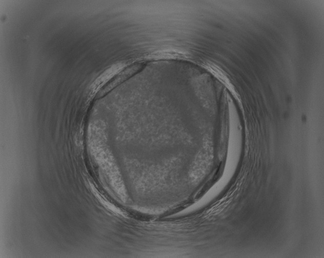 X0000062630389200601111105