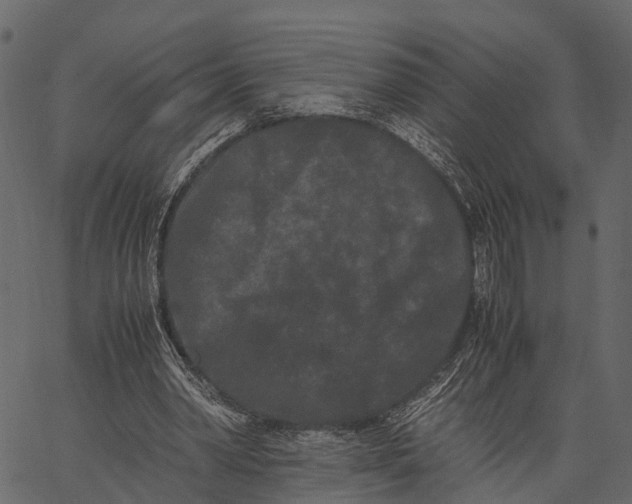 X0000062630390200601111105