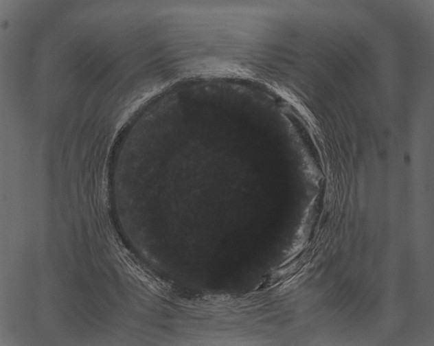 X0000062630391200601111105