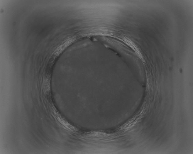 X0000062630393200601111105