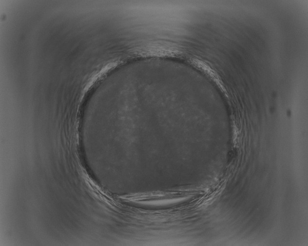 X0000062630395200601111105