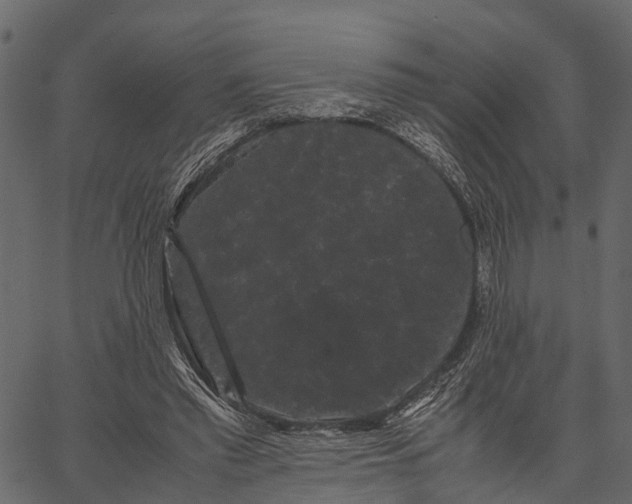 X0000062630397200601111105