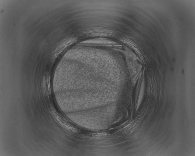 X0000062630398200601111105