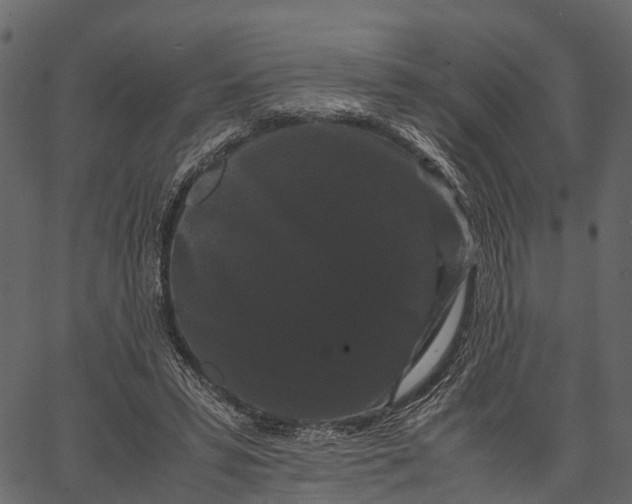 X0000062630399200601111105