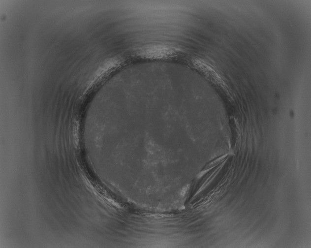 X0000062630400200601111105