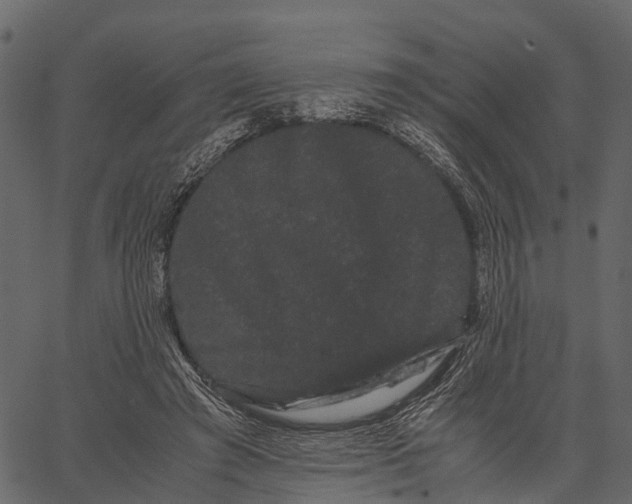 X0000062630401200601111105