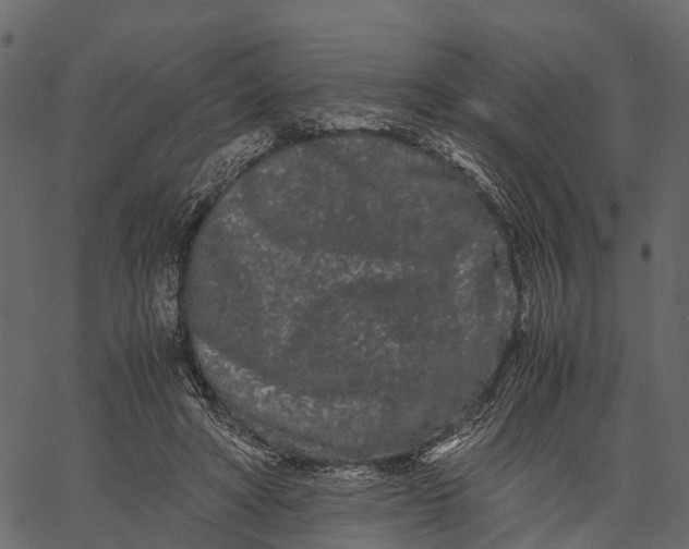 X0000062630402200601111105