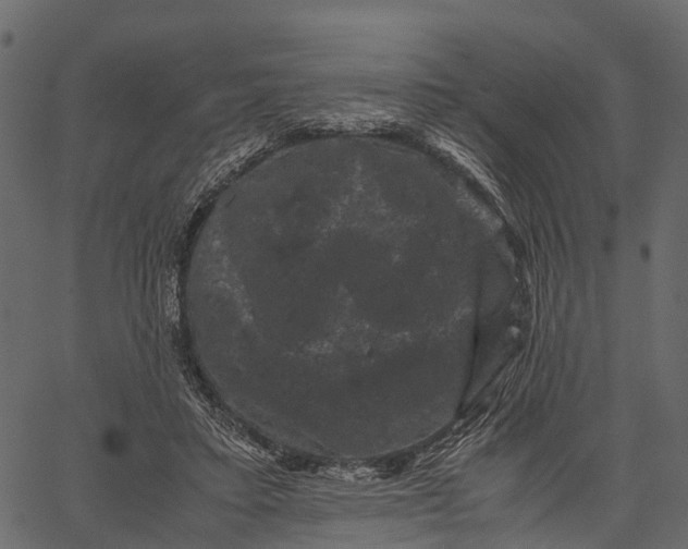 X0000062630403200601111105