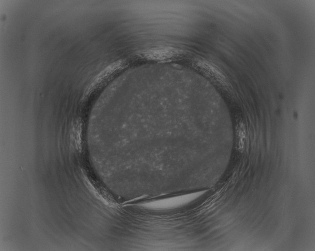 X0000062630404200601111105