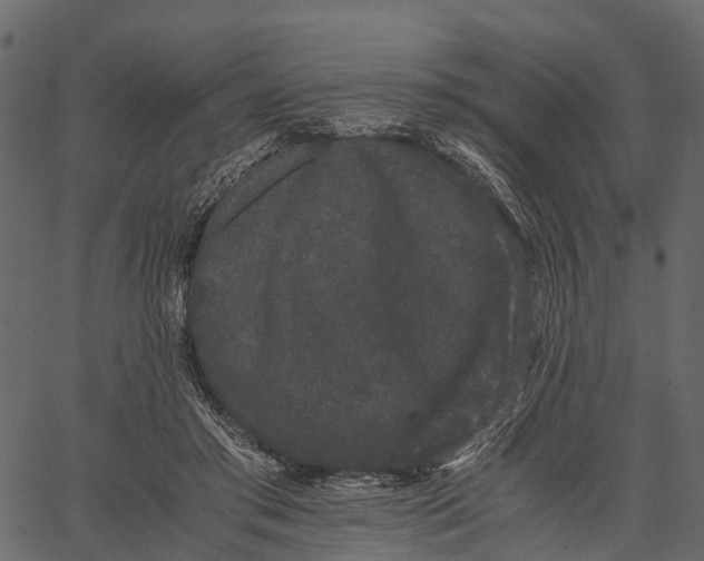 X0000062630405200601111105