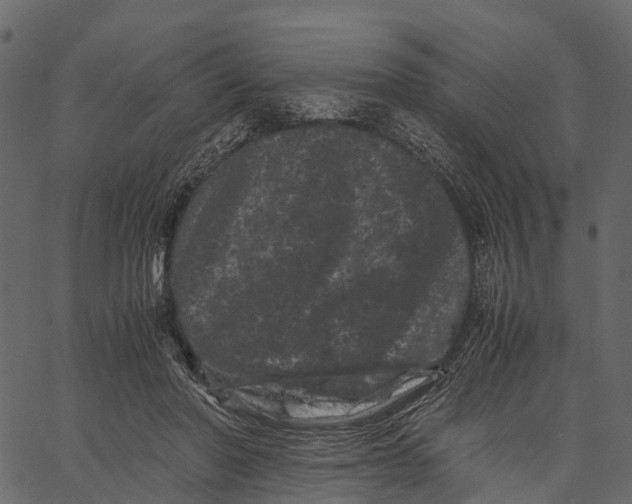 X0000062630406200601111105